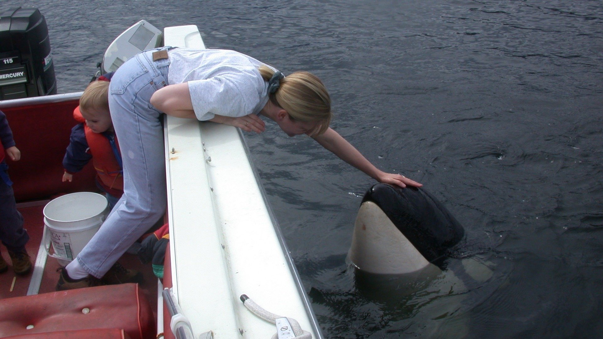 Backdrop for The Whale