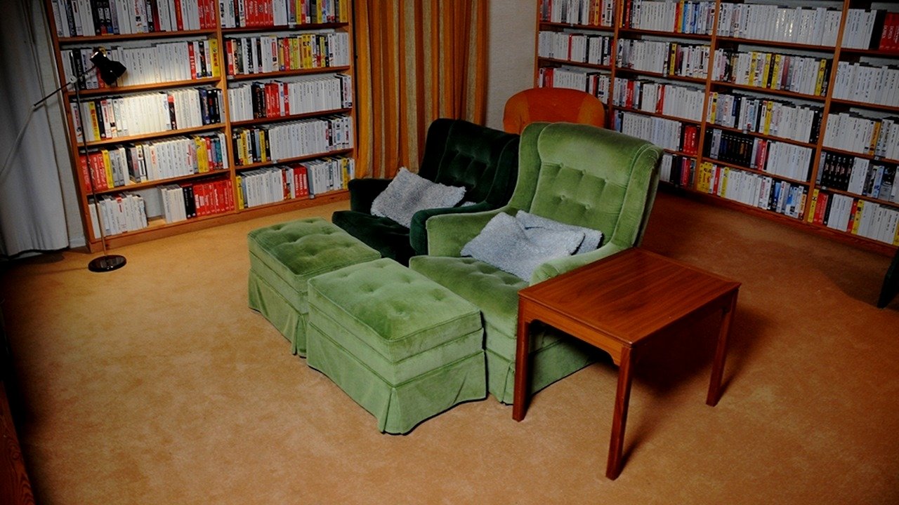 Backdrop for Trespassing Bergman