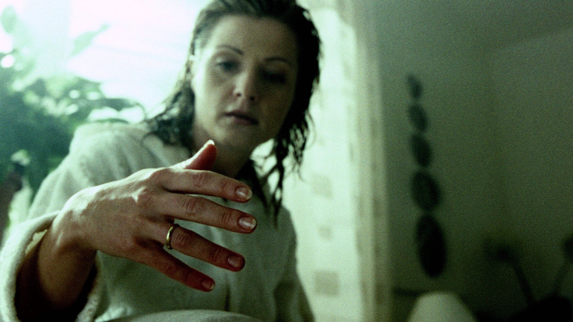 Backdrop for Now You See Me, Now You Don't