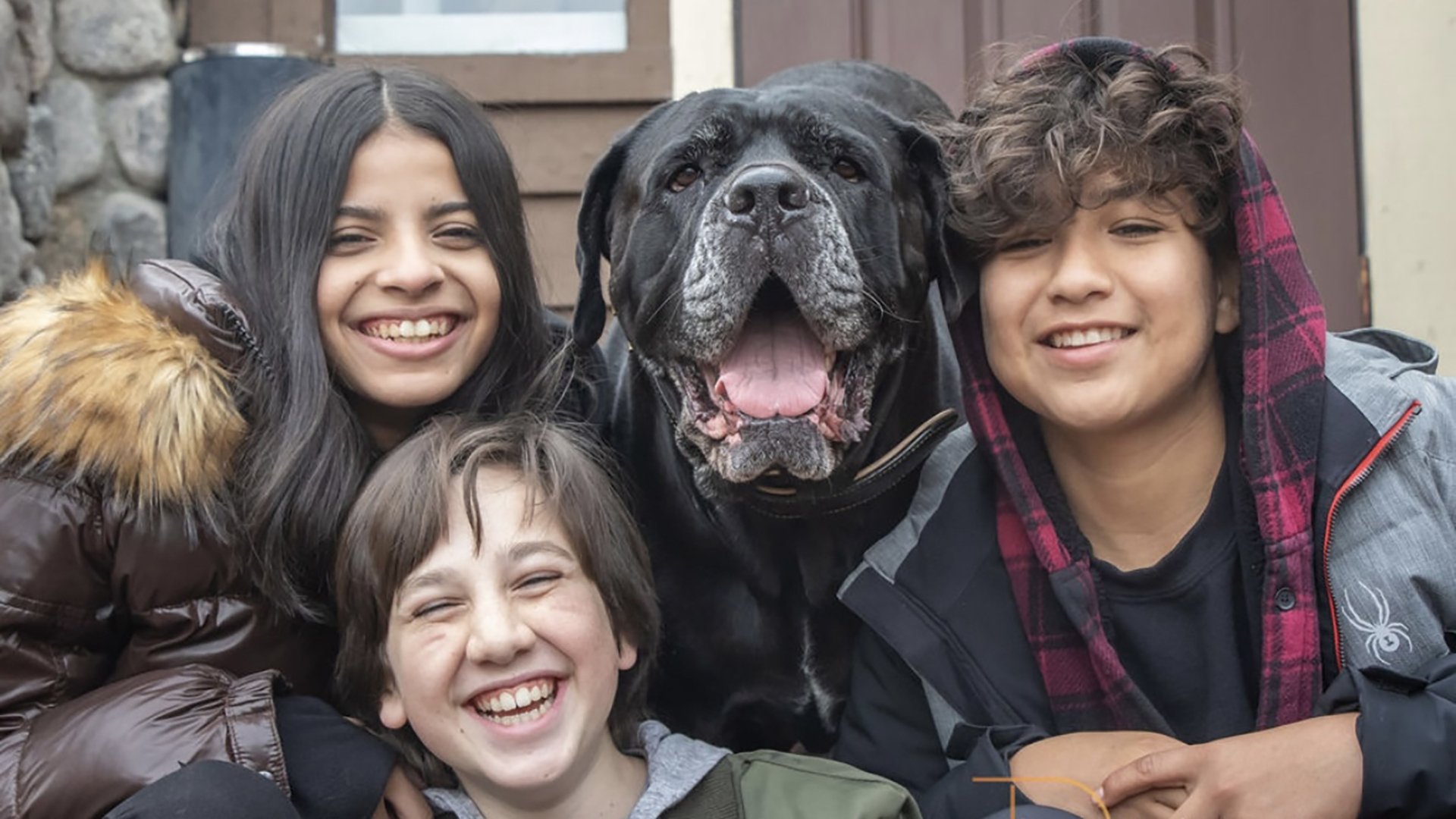 Backdrop for Dog Patrol: Operation Santa Paws