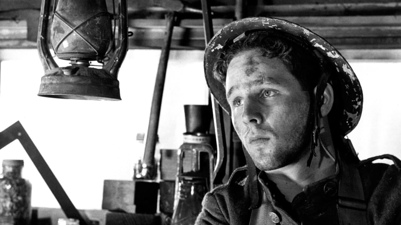 Backdrop for Johnny Got His Gun