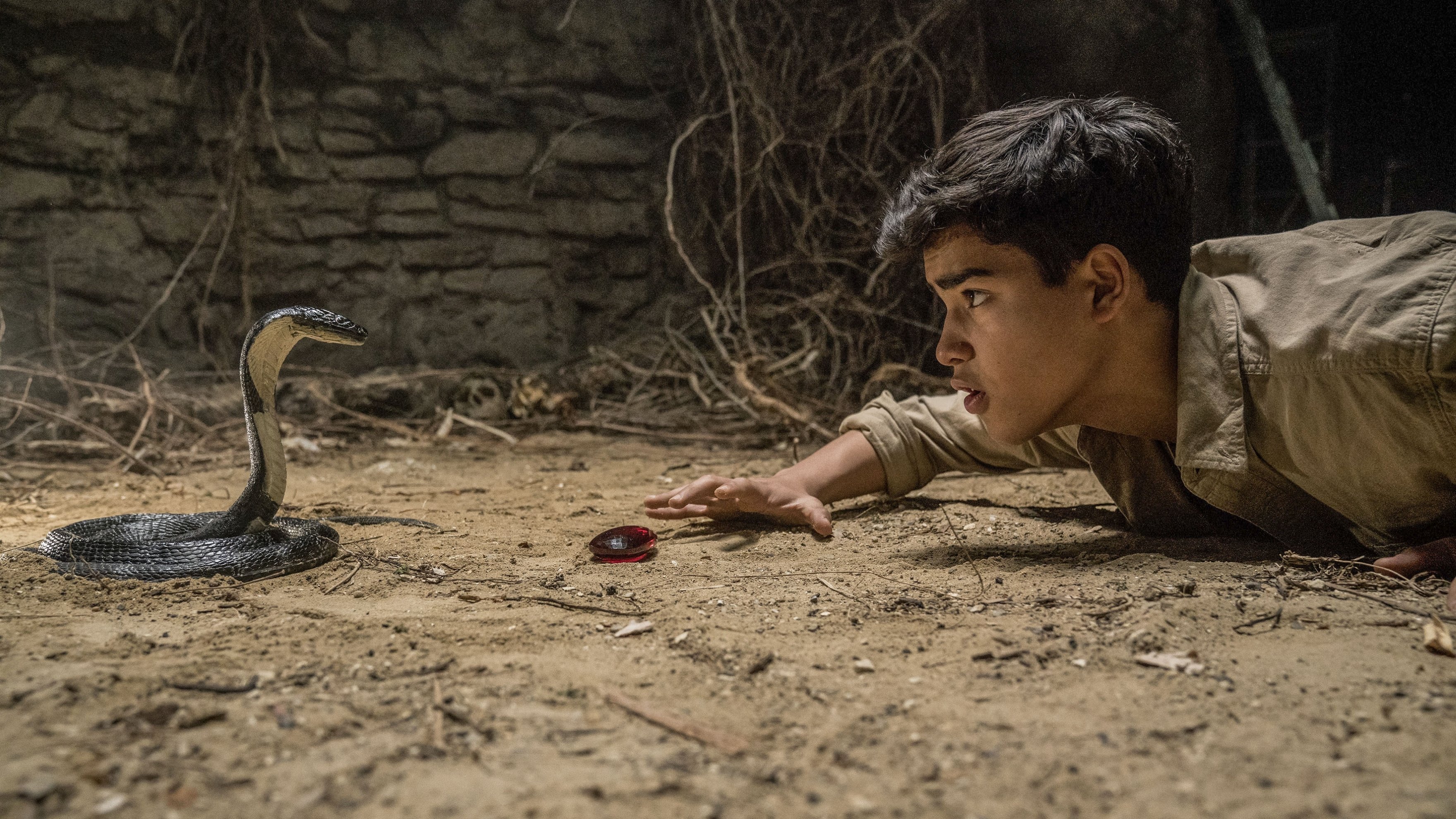 Backdrop for Iqbal & the Jewel of India