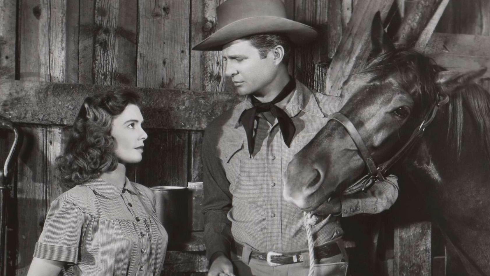 Backdrop for Red Stallion In The Rockies