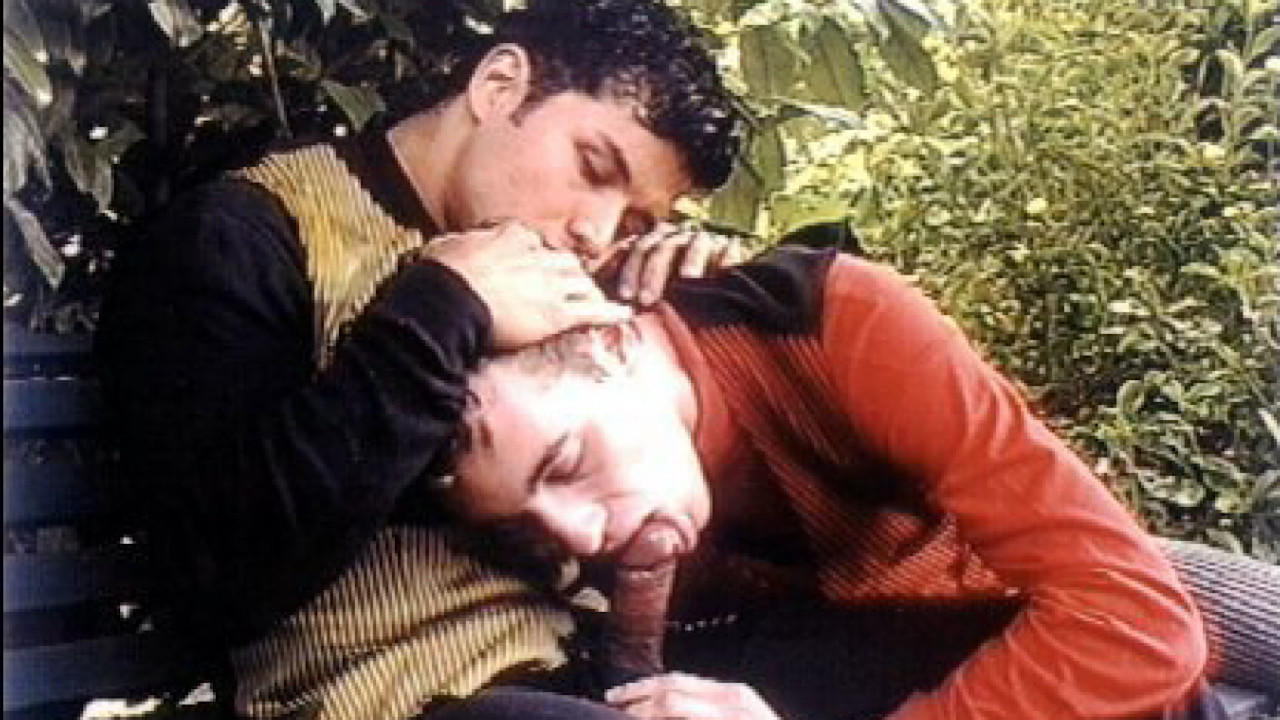 Backdrop for Floor Boys