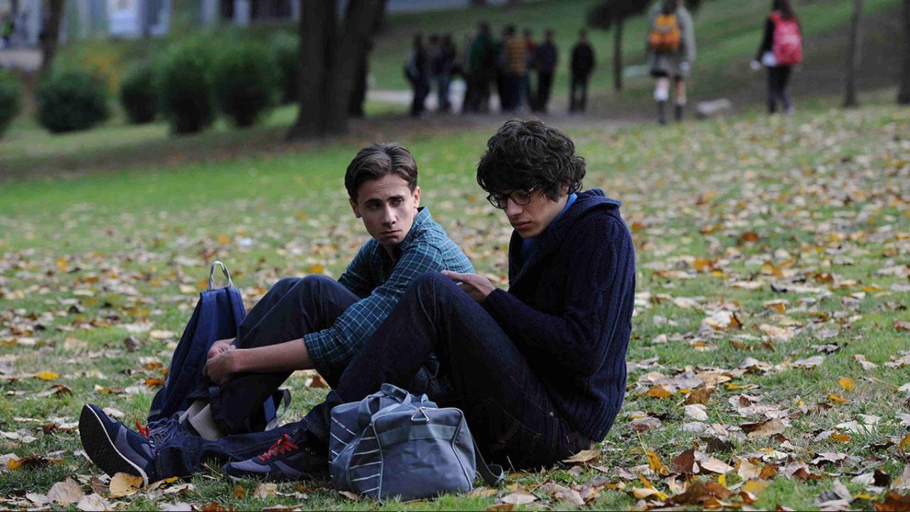 Backdrop for Animals