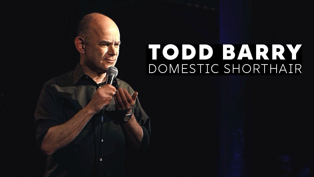 Backdrop for Todd Barry: Domestic Shorthair