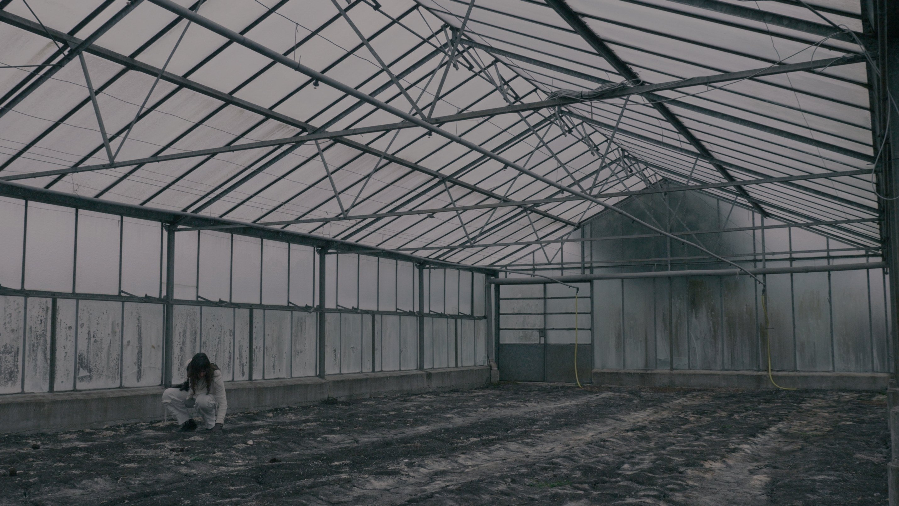 Backdrop for BLOOM - A Dystopian Short Film