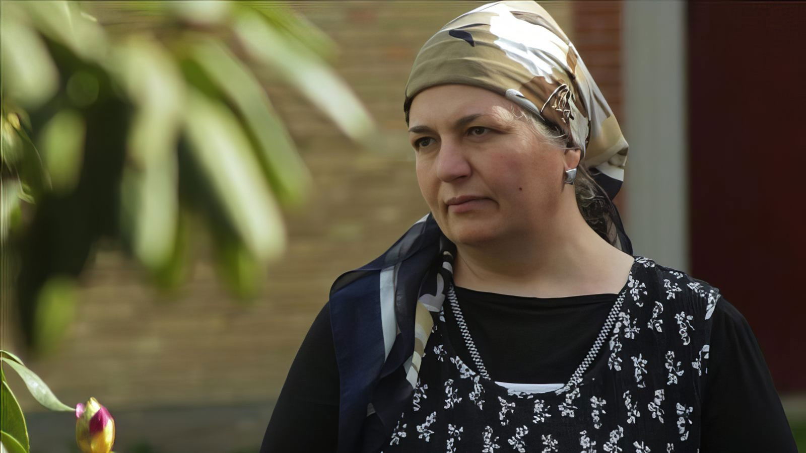 Backdrop for Detained