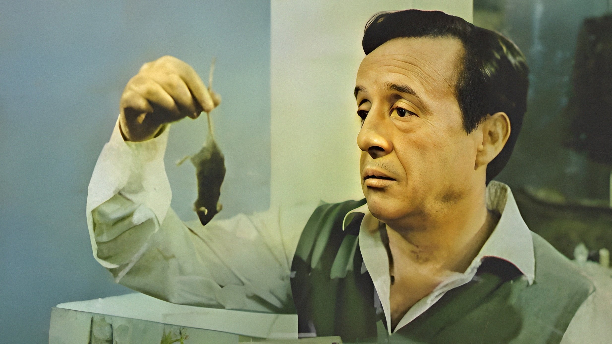 Backdrop for Don Ratón y Don Ratero