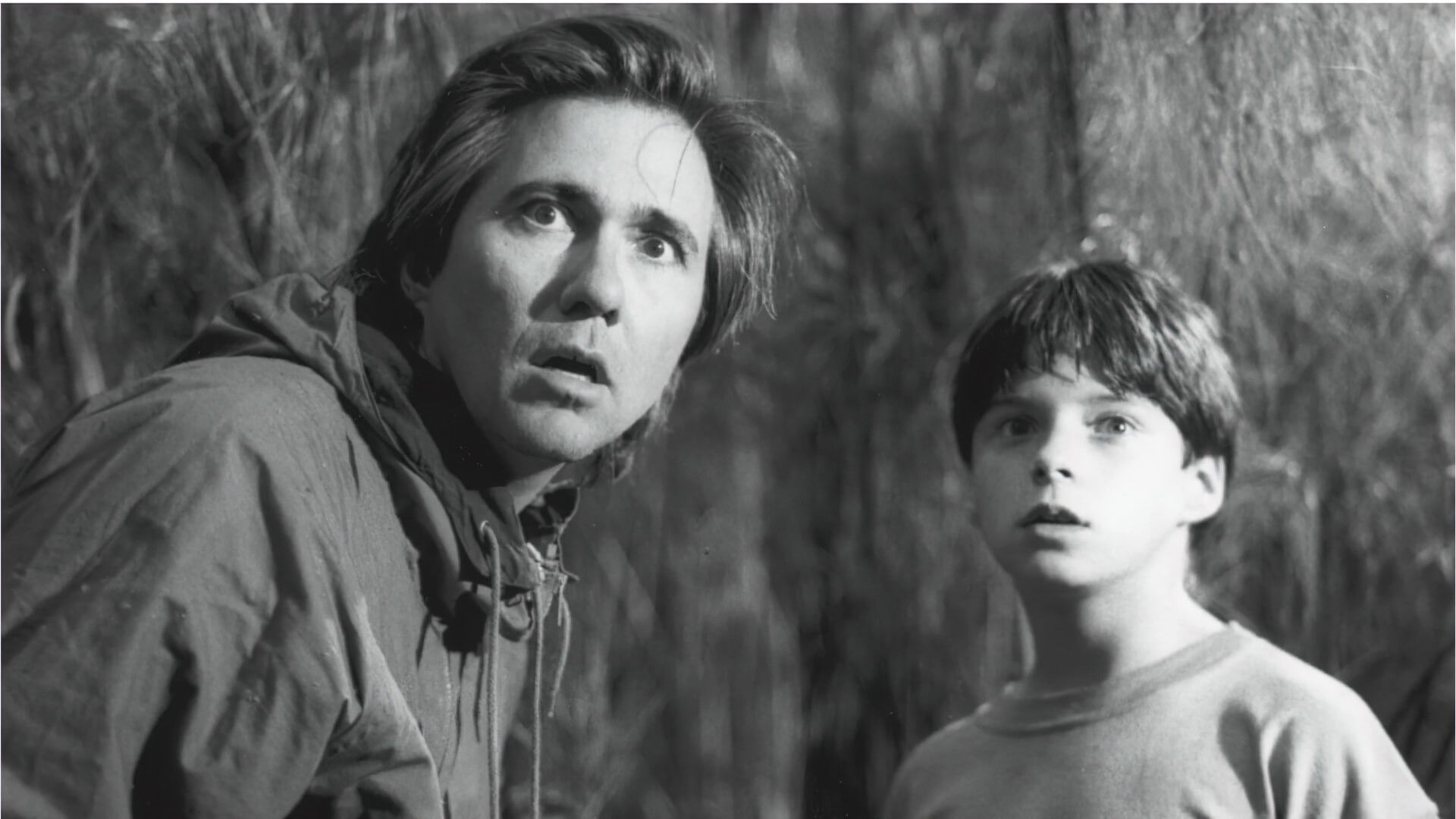 Backdrop for Simon and the Dreamhunters