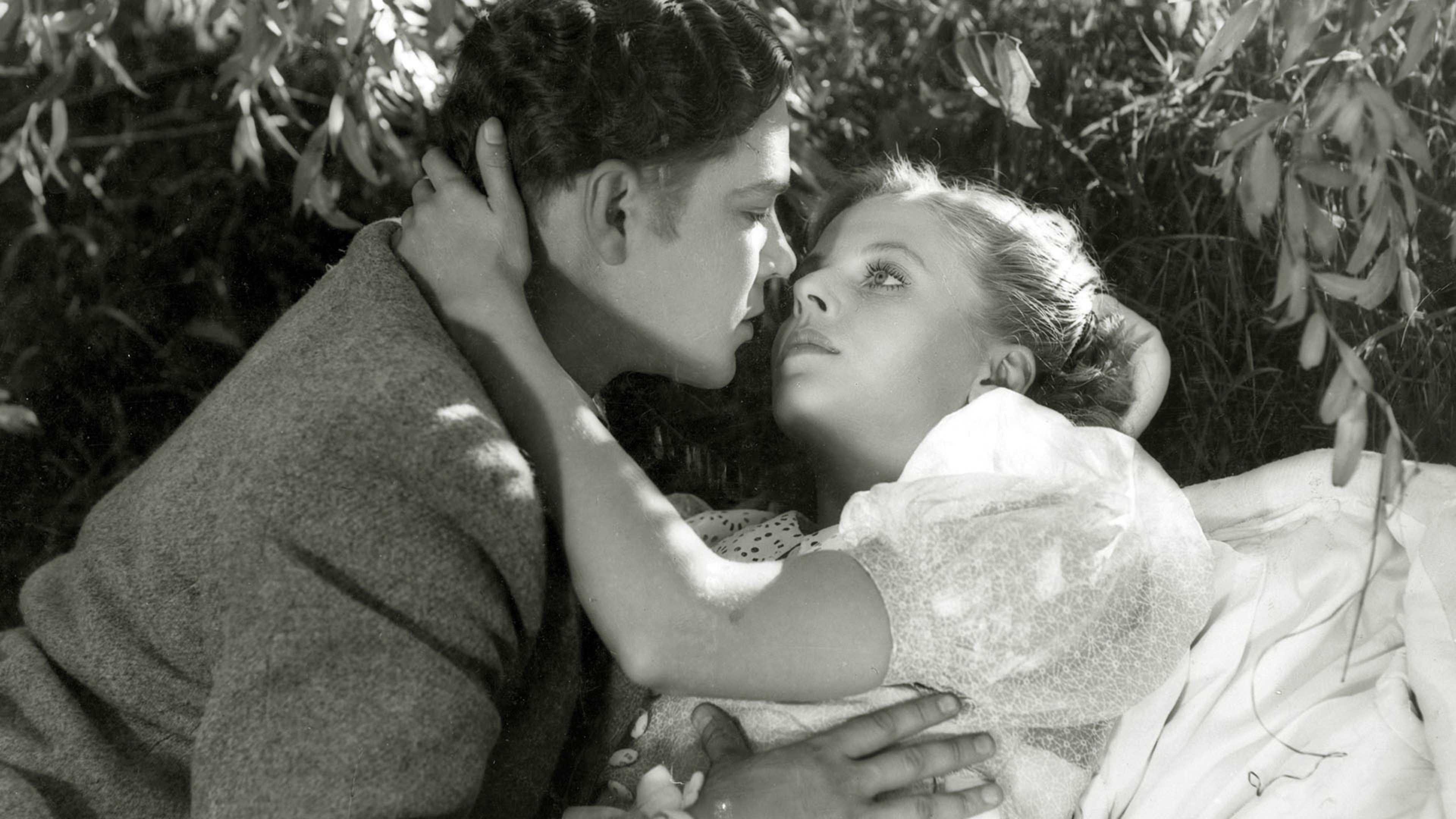 Backdrop for Yövartija vain…