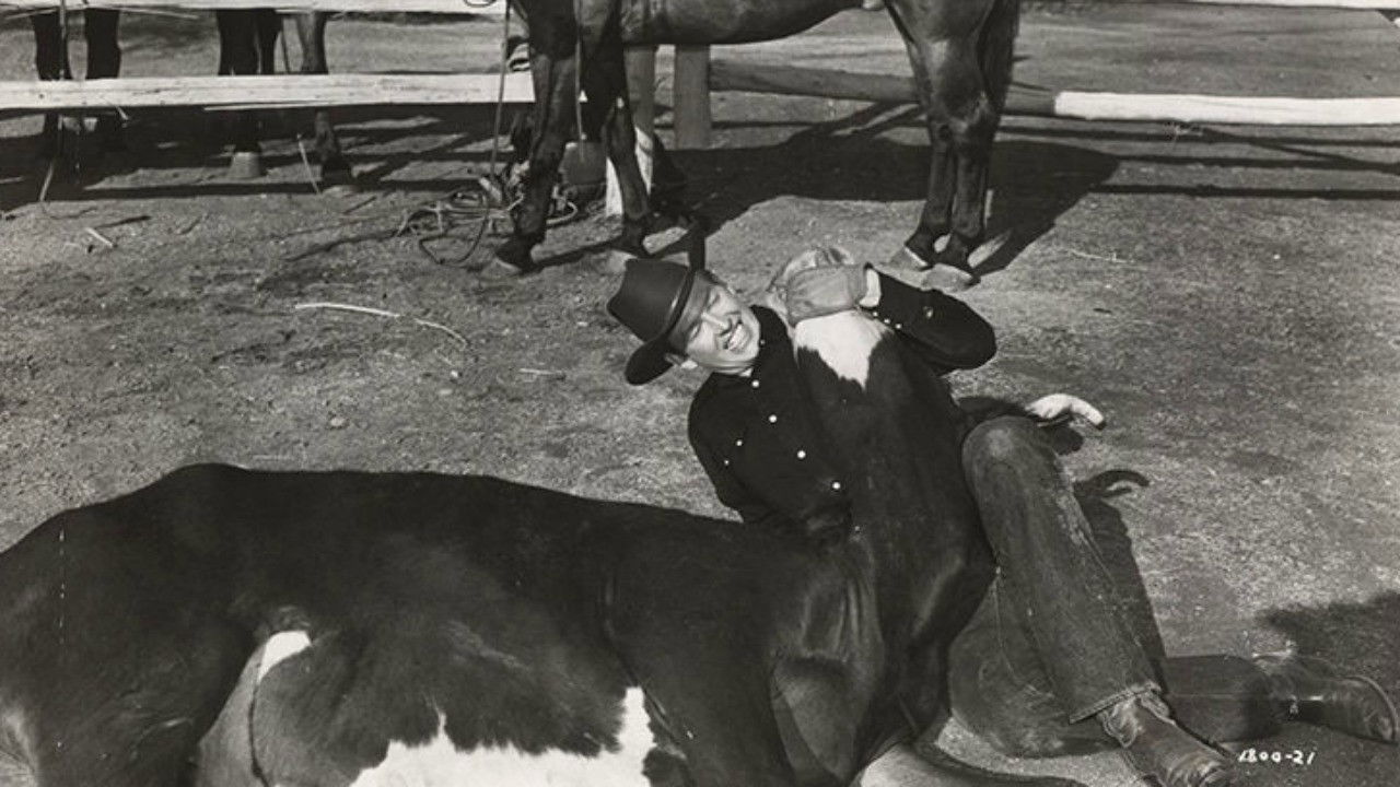 Backdrop for The Arizona Cowboy