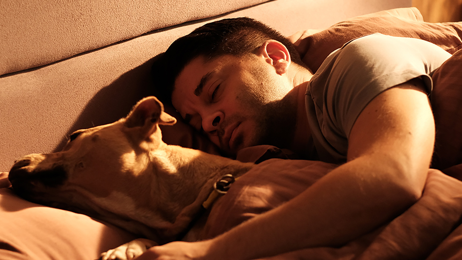 Backdrop for Dikkat Köpek Var