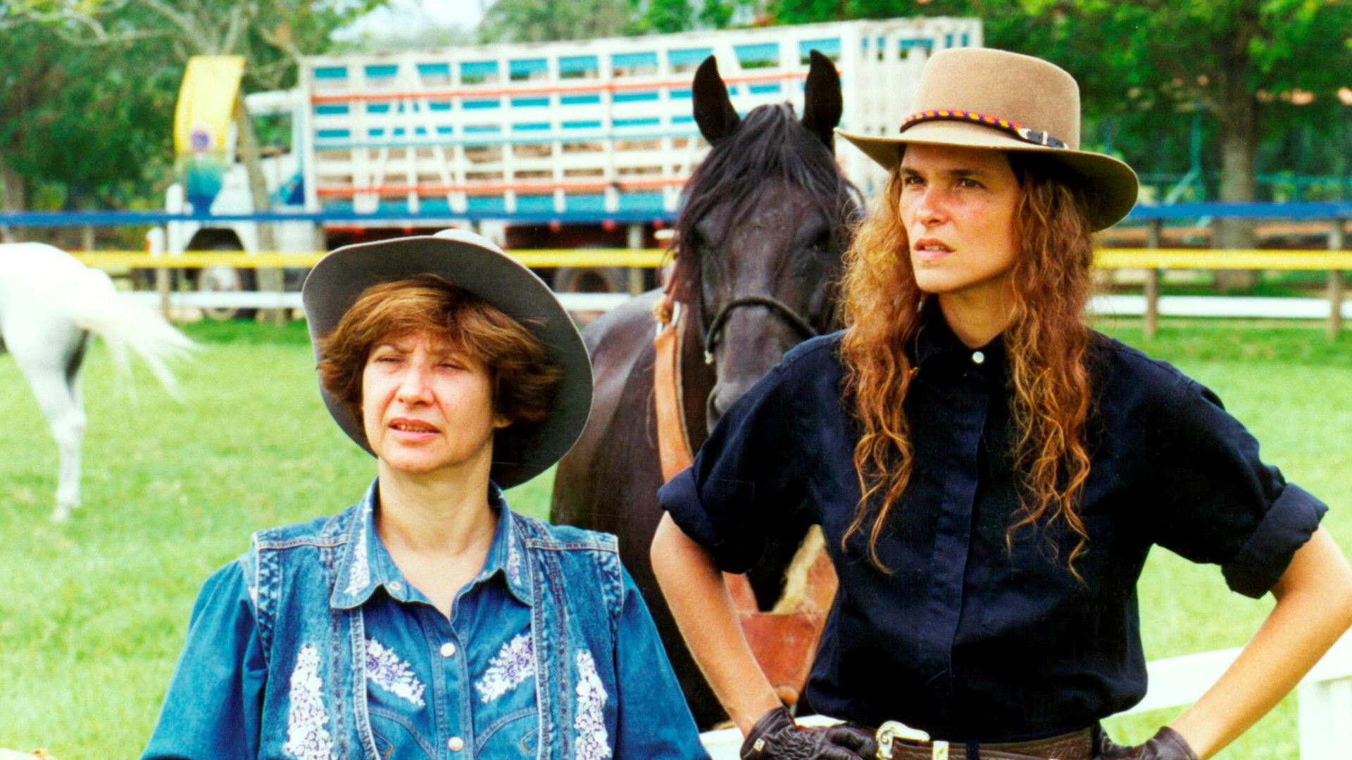 Backdrop for Corpo Dourado