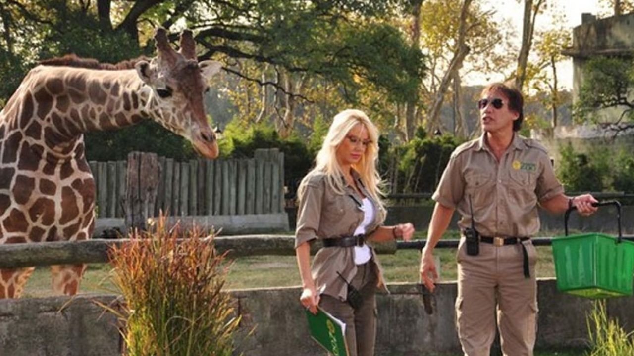 Backdrop for Locos sueltos en el zoo