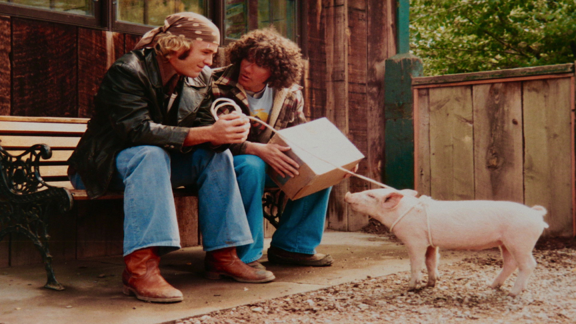 Backdrop for Scrapple