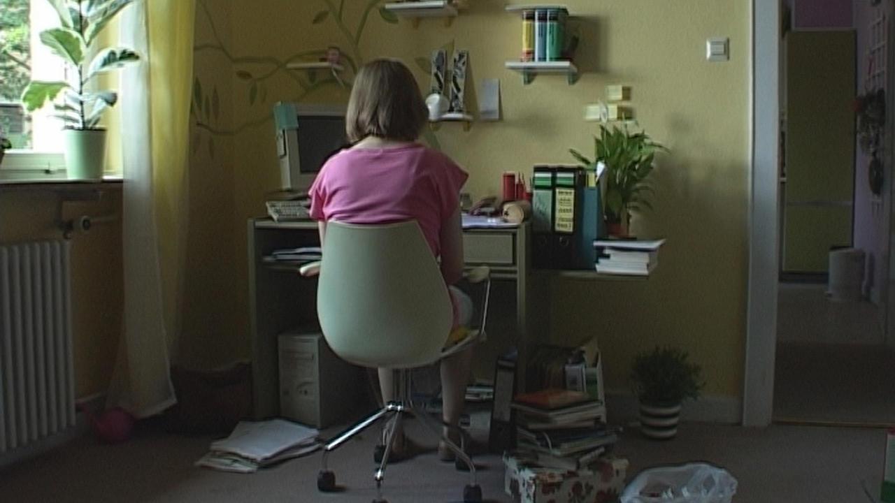 Backdrop for The Forest for the Trees