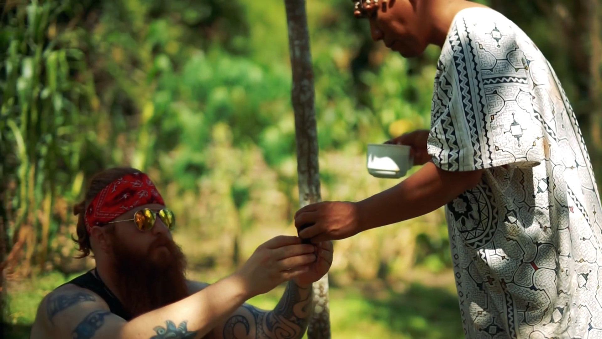 Backdrop for Soldiers of the Vine