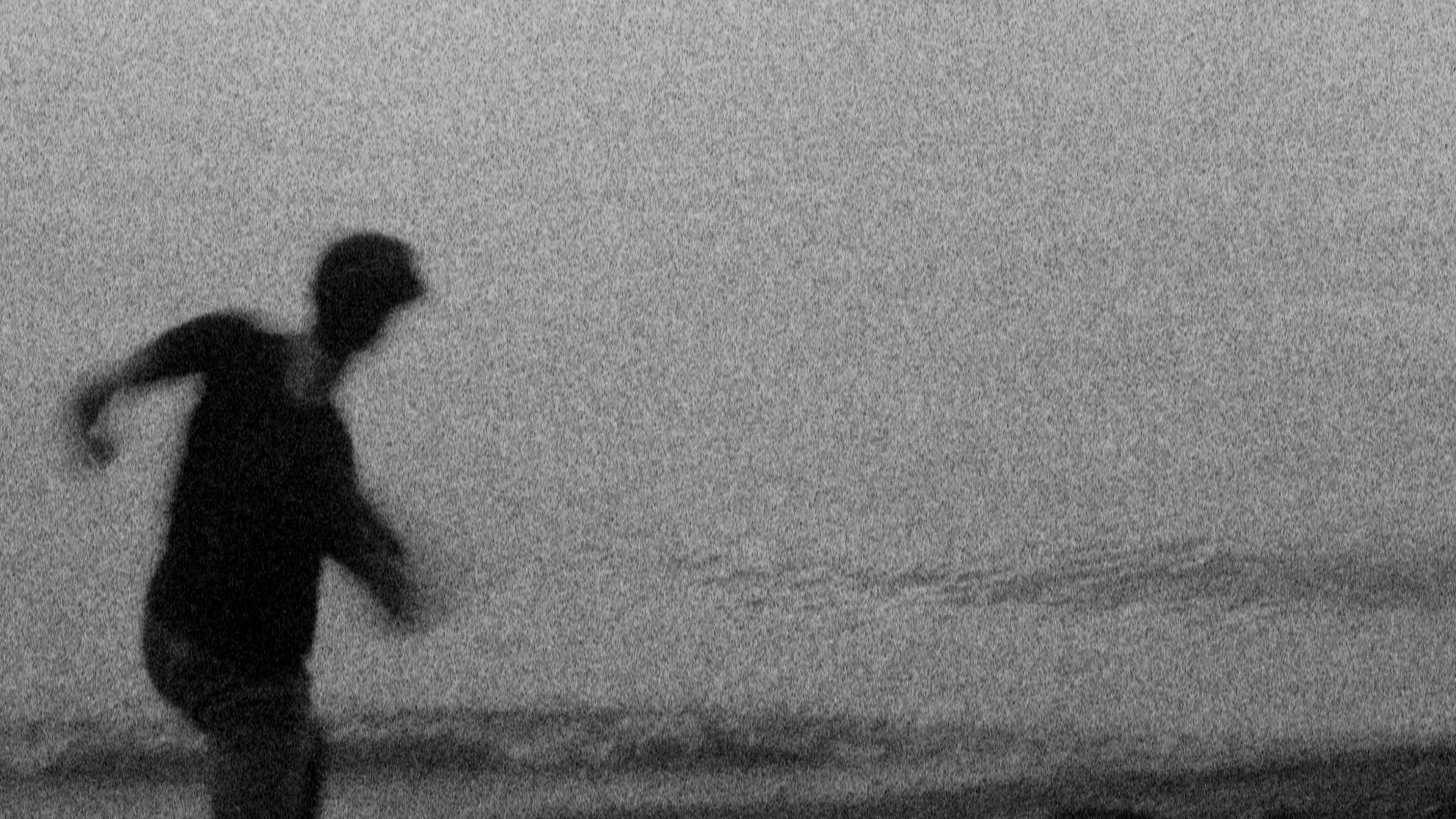 Backdrop for Camera Roll 3 (2018-2022)