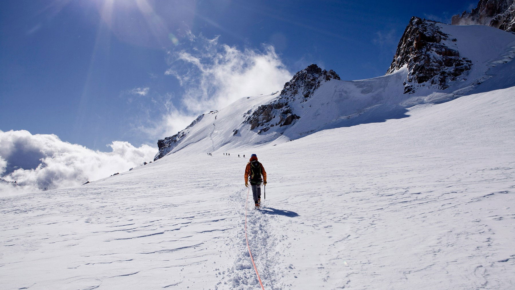 Backdrop for Whiteout