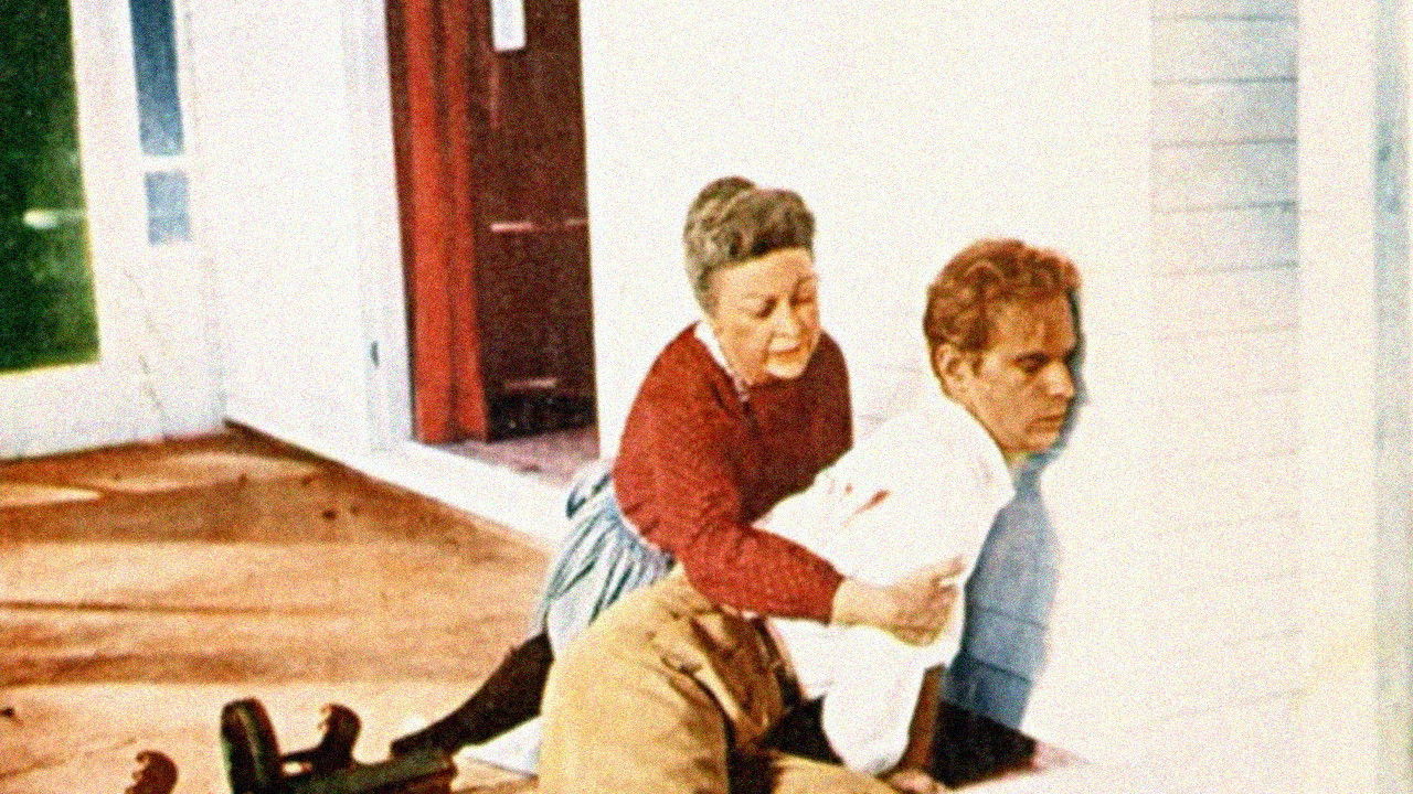 Backdrop for Ma Barker's Killer Brood