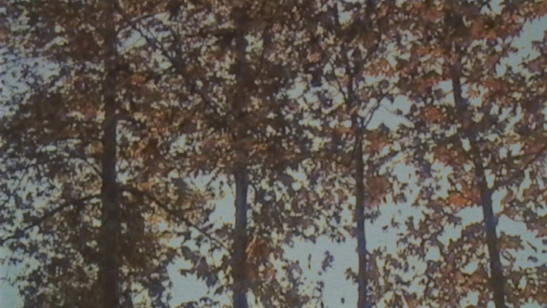 Backdrop for Self Decapitation