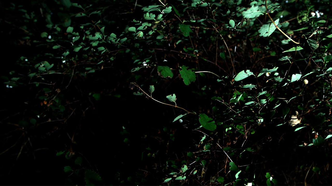 Backdrop for Cyclothymia of a Land