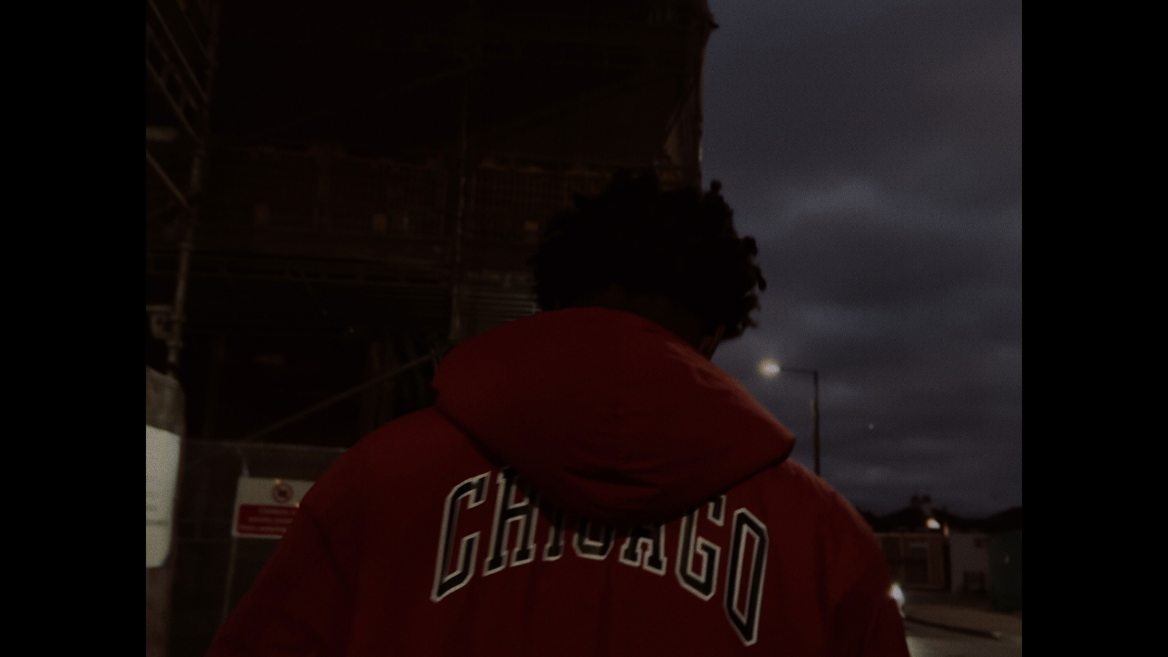 Backdrop for Angry Ladybug