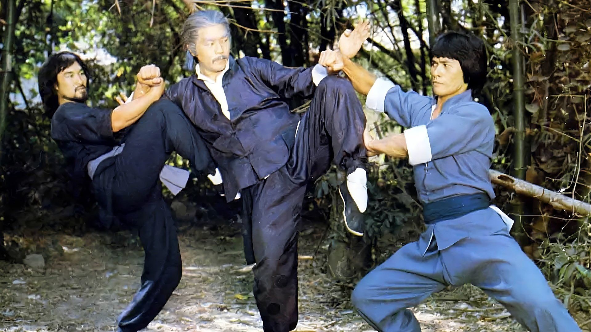 Backdrop for Fearless Dragons