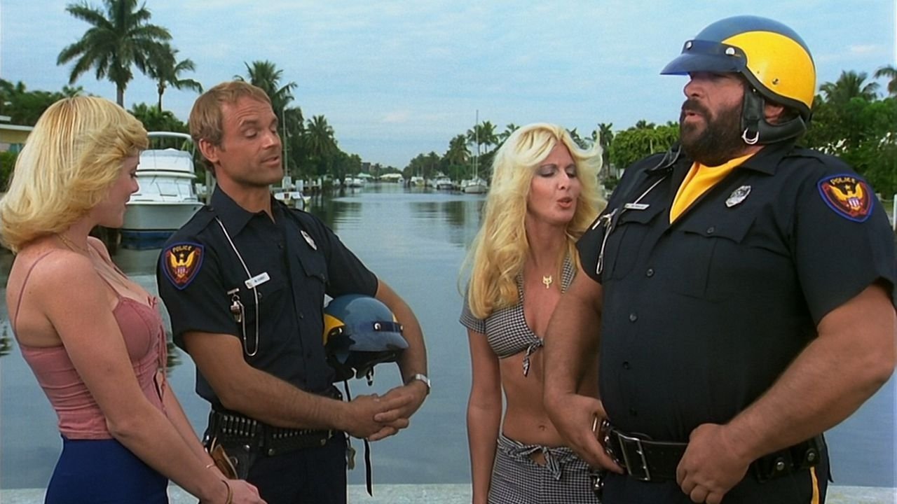 Backdrop for Crime Busters