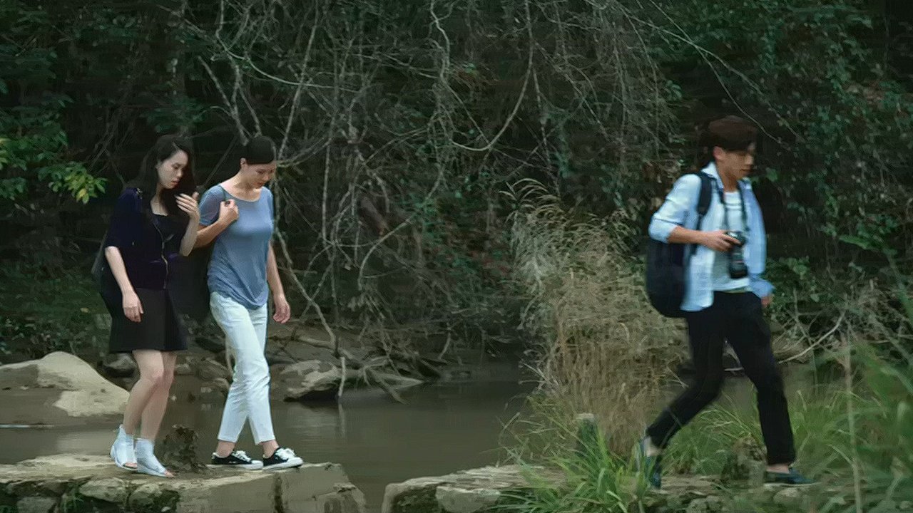 Backdrop for Favorite Begonia Flower