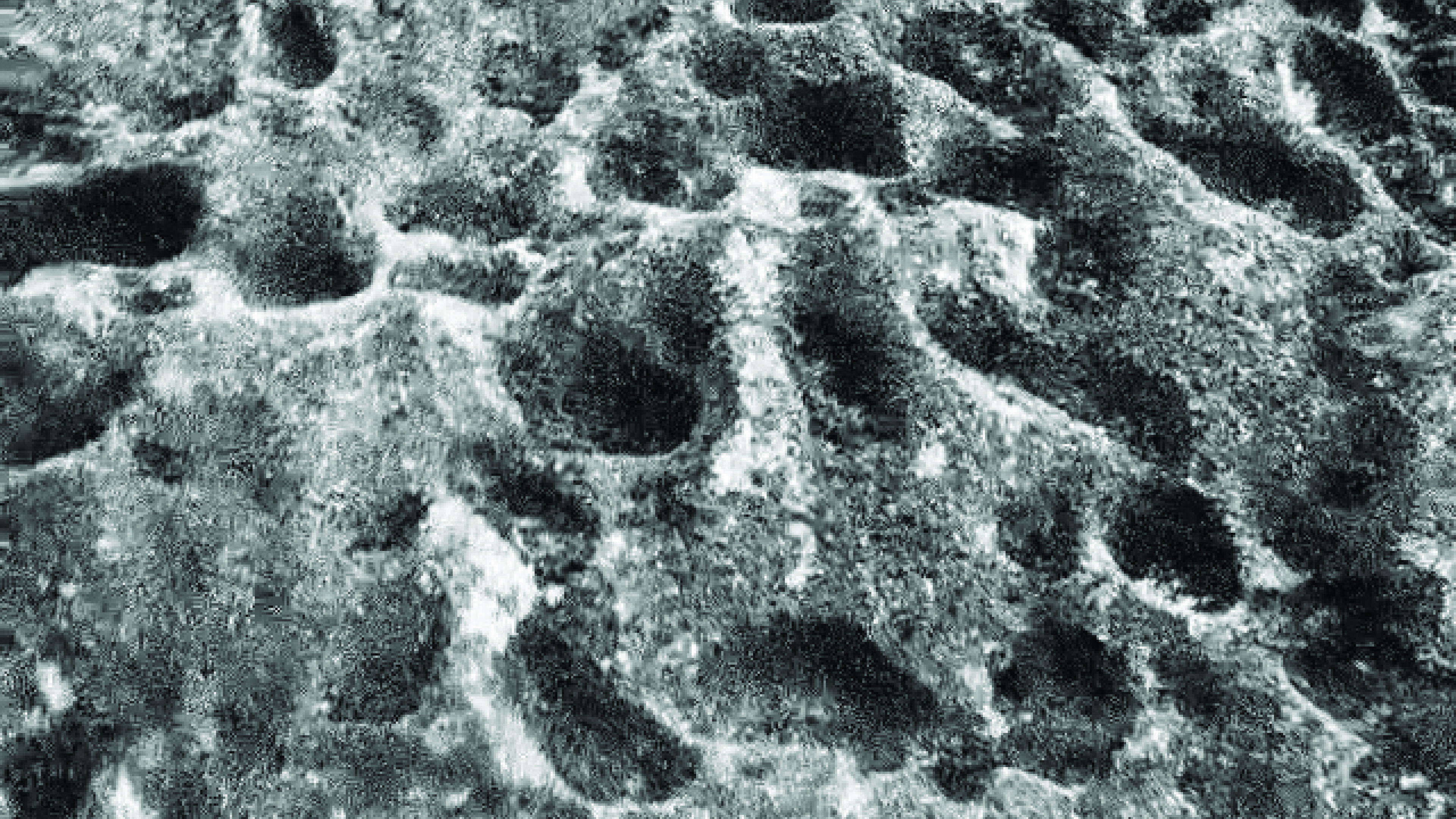 Backdrop for Requiem For A Hollow Man