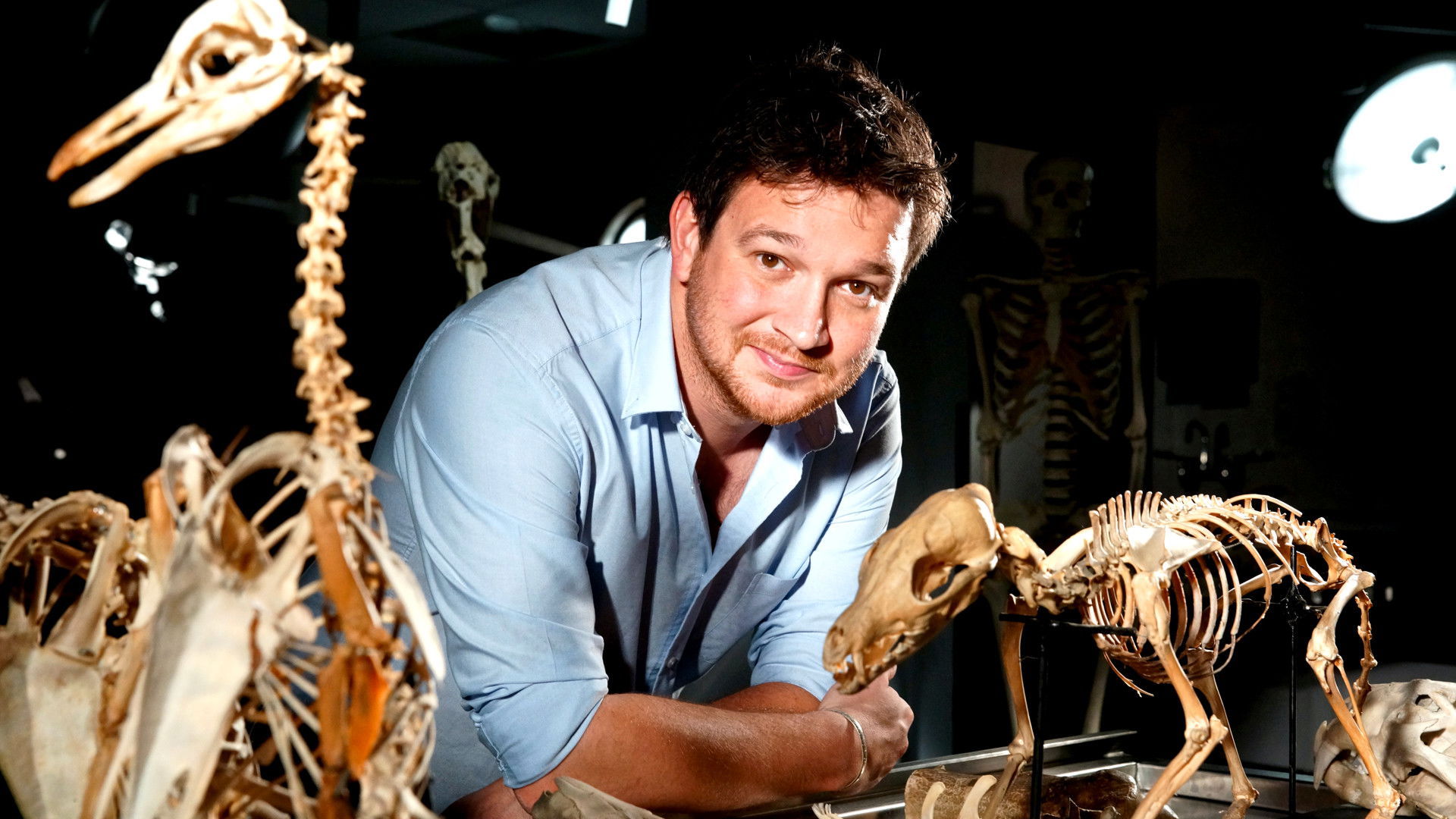 Backdrop for Secrets of Bones