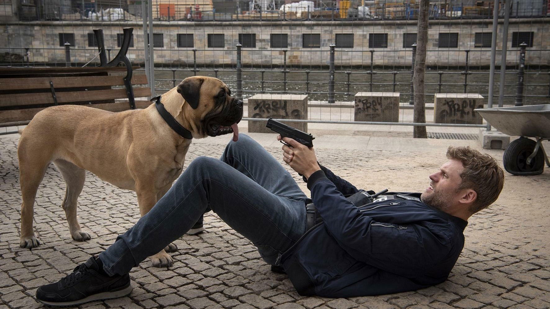 Backdrop for Der Bulle und das Biest