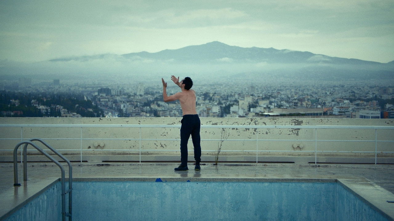 Backdrop for Birds (Or How to Be One)