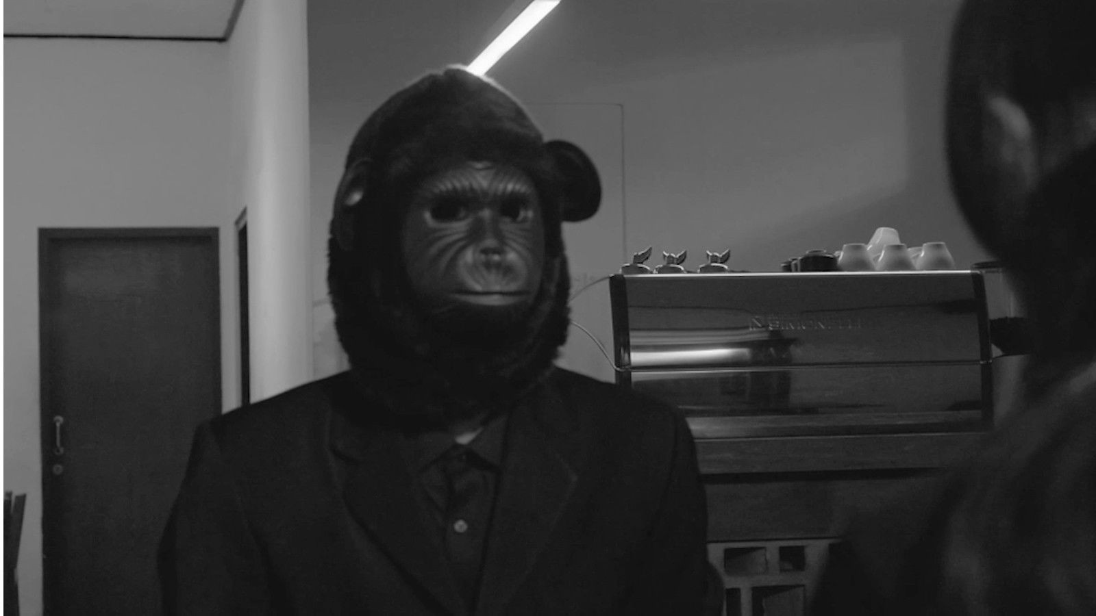 Backdrop for Red Wild Mushroom