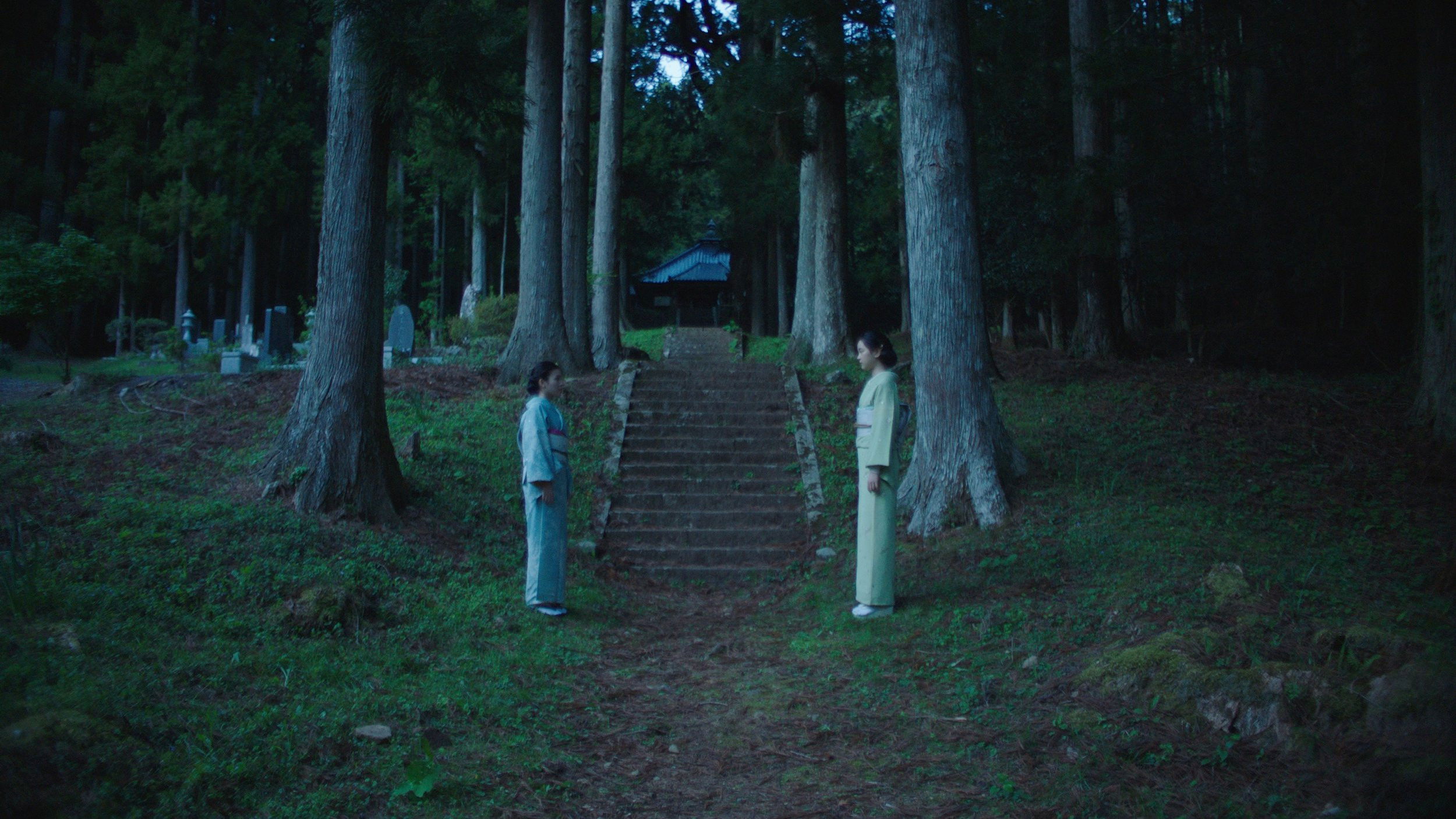 Backdrop for This Place