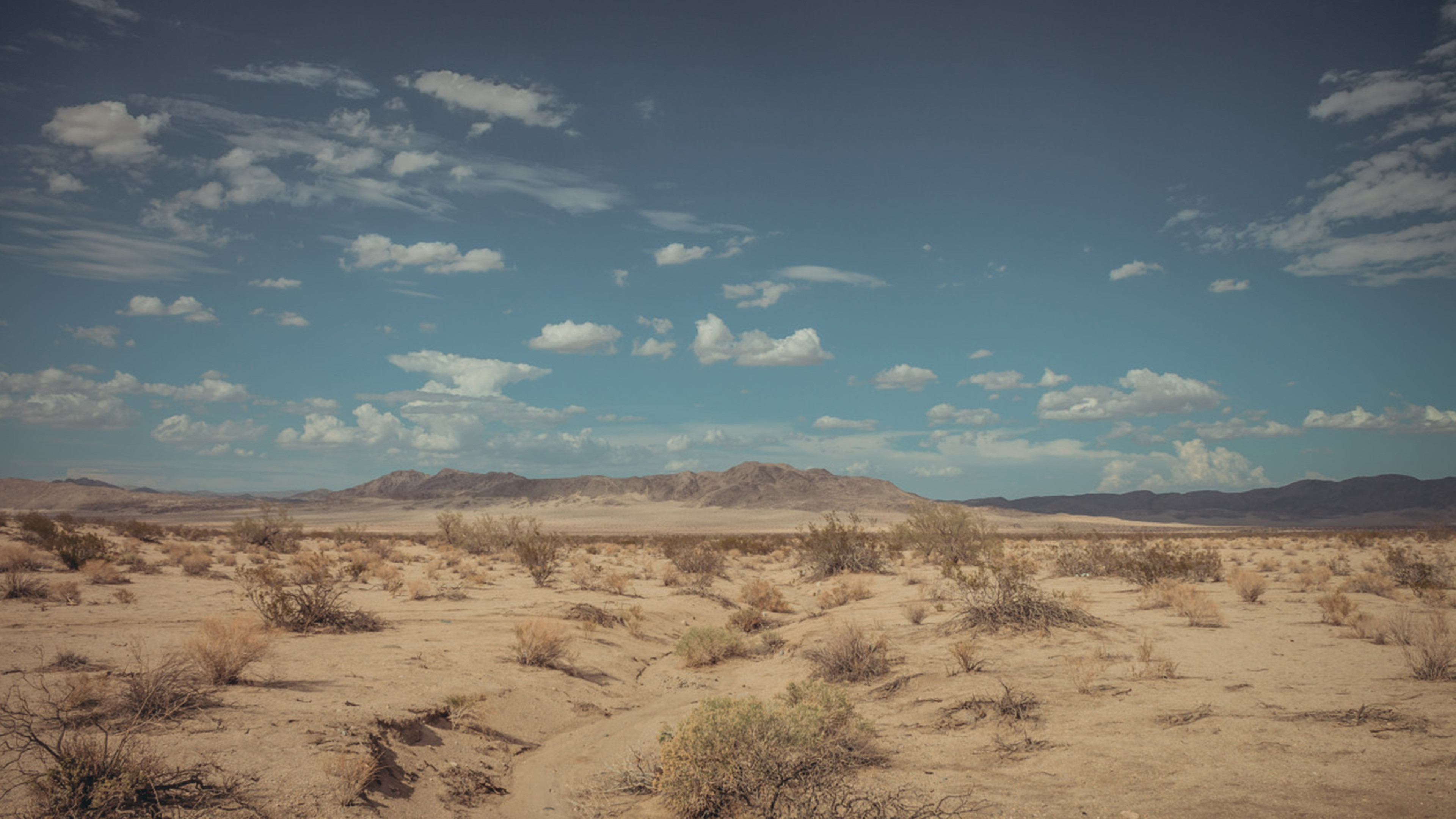 Backdrop for Fame in California