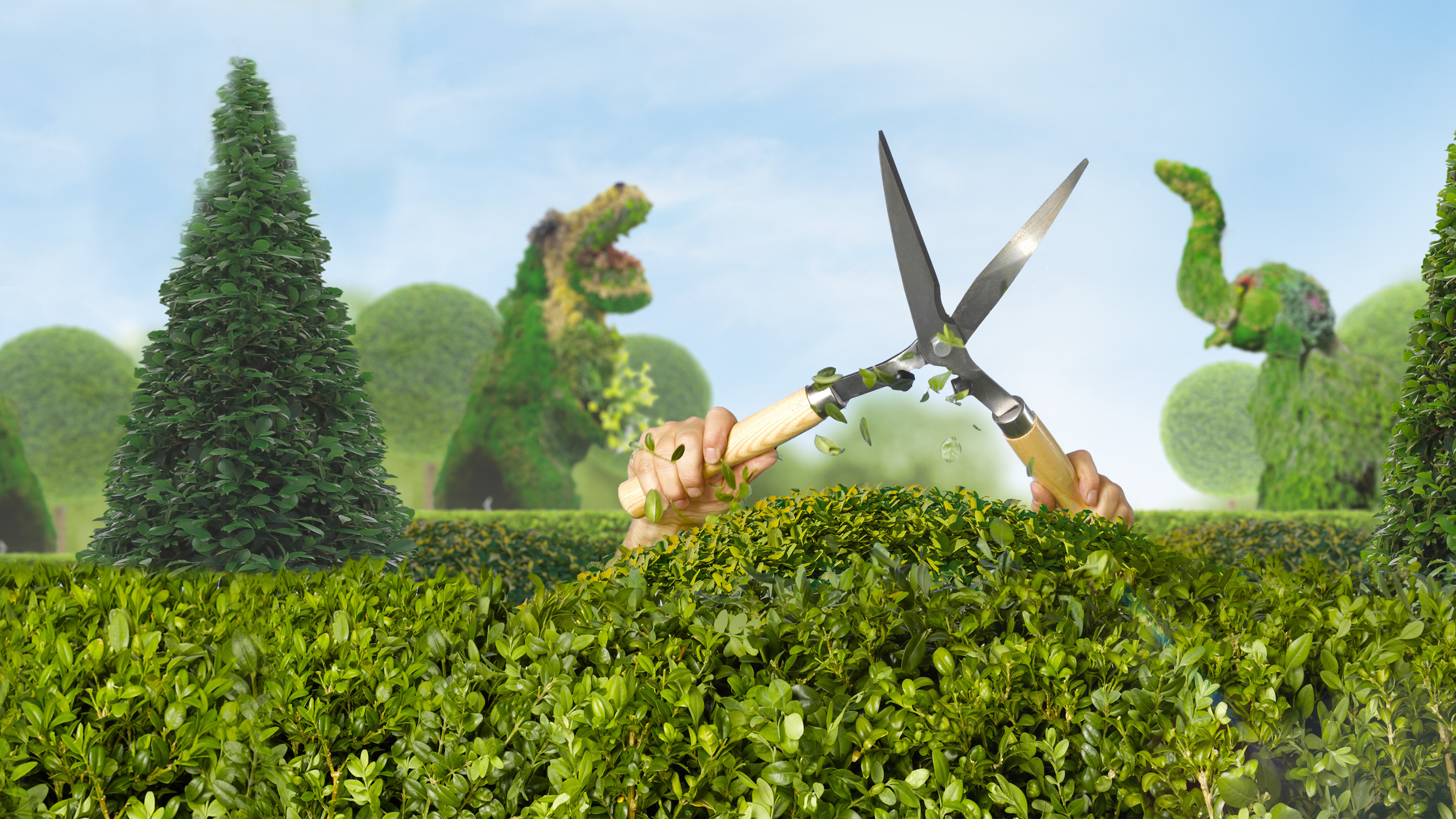 Backdrop for Clipped