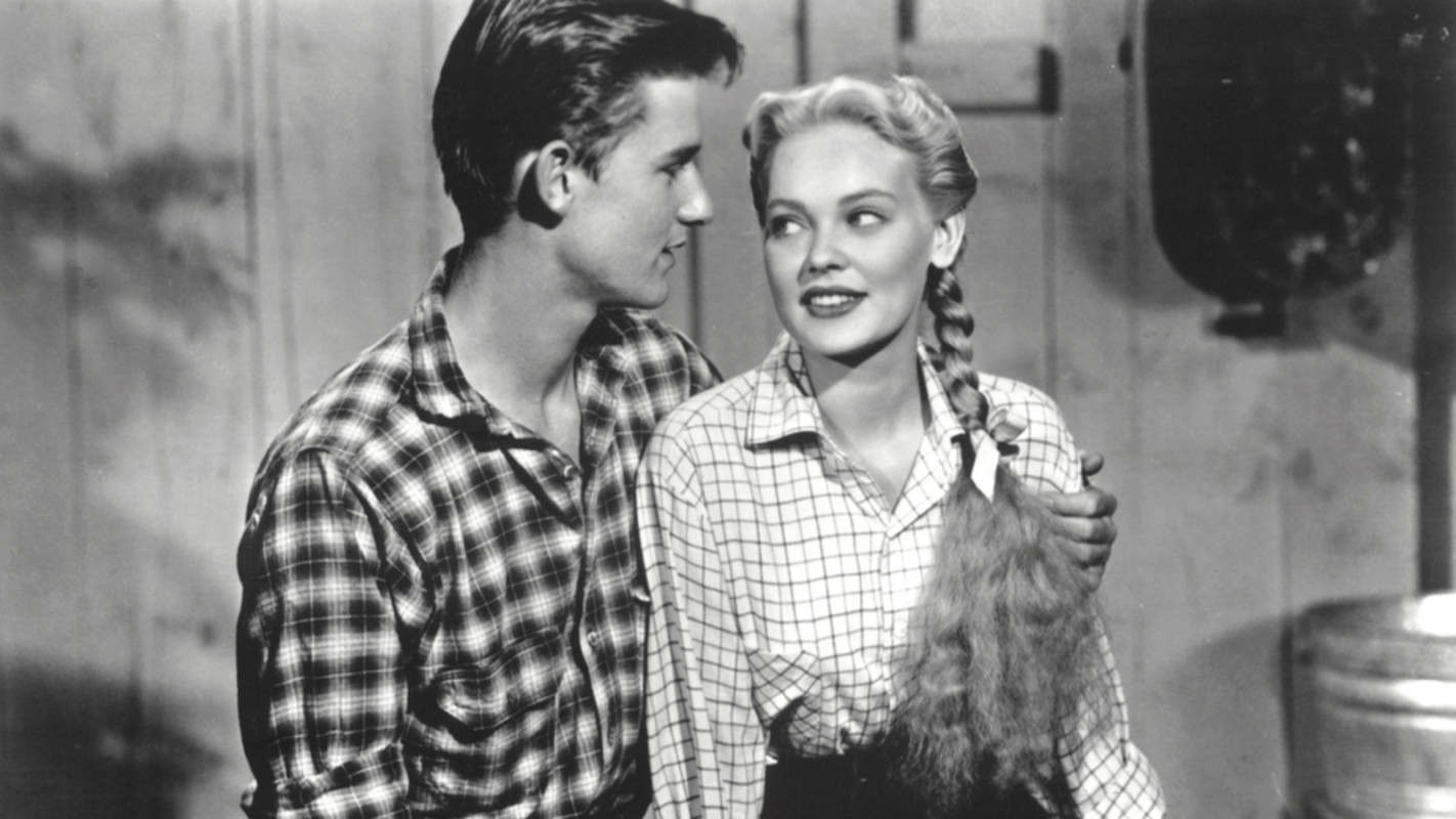 Backdrop for Black Midnight