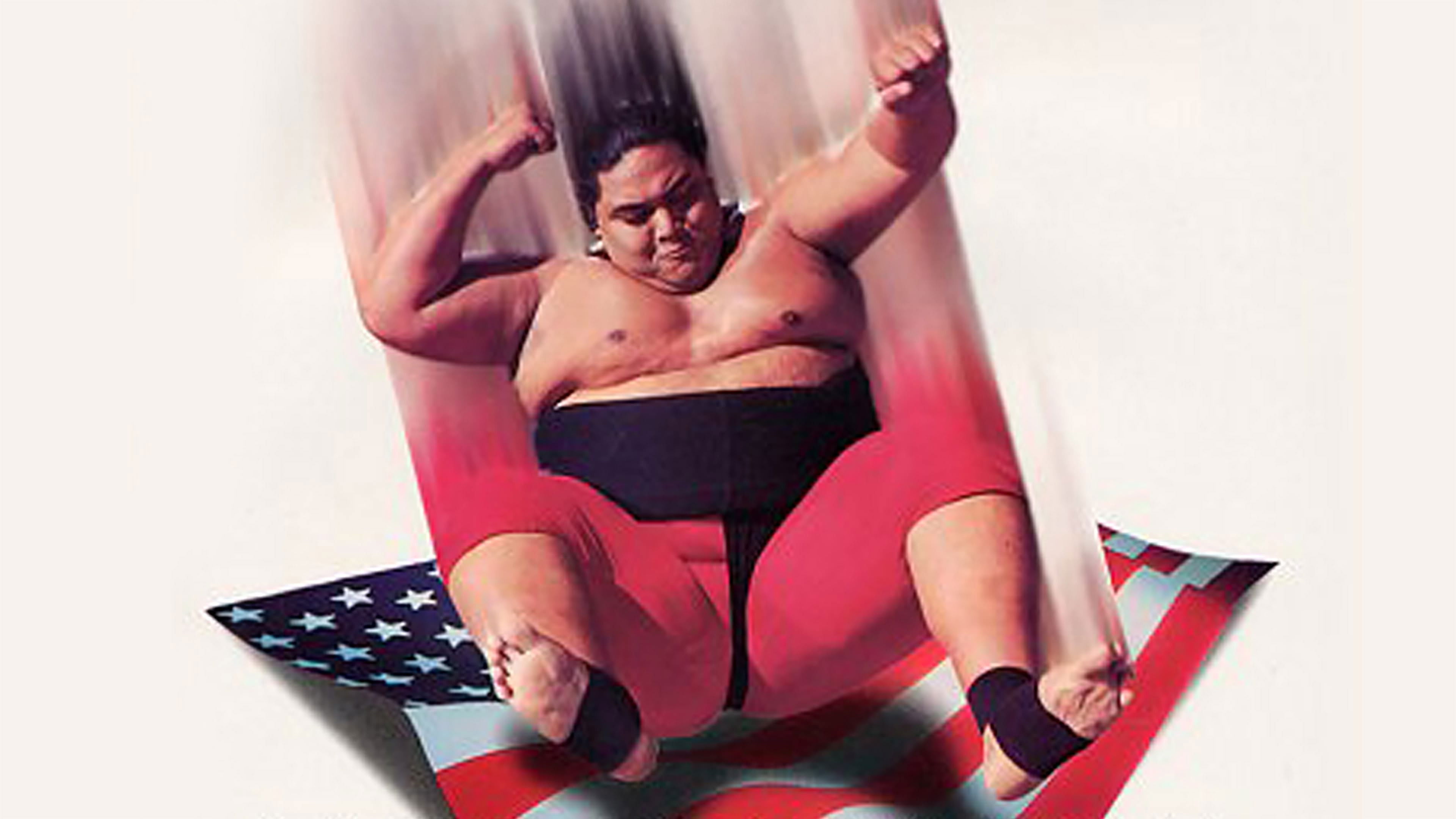 Backdrop for WWE SummerSlam 1993