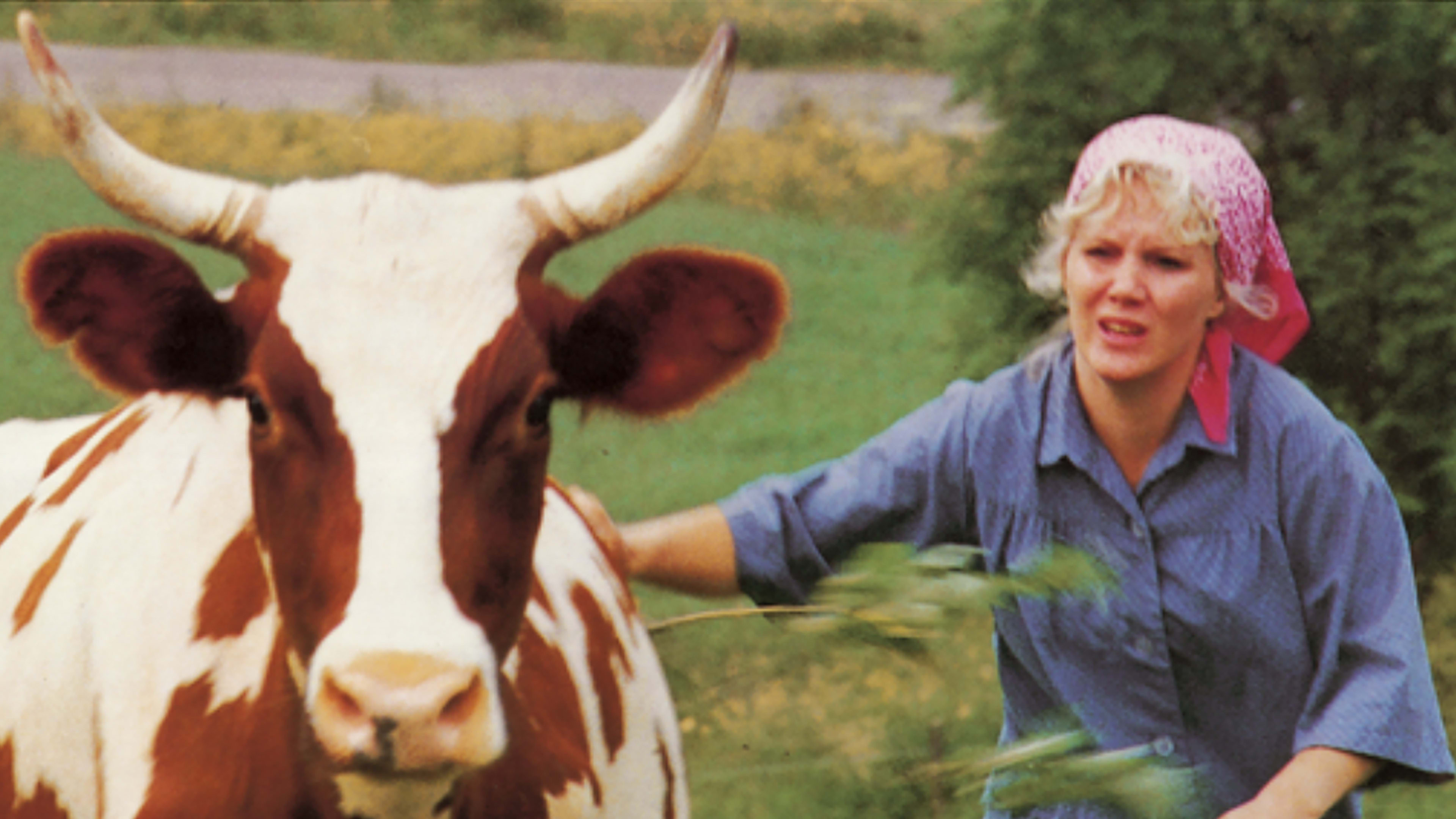 Backdrop for Akallinen mies