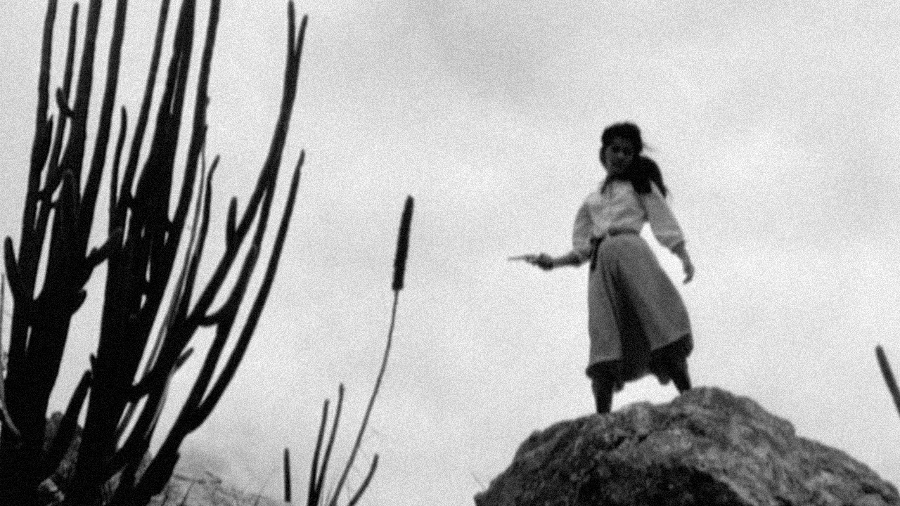 Backdrop for Red Mandacaru