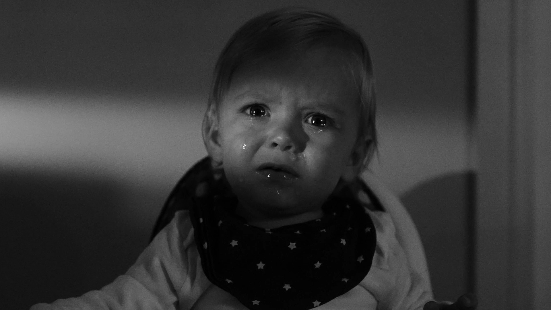 Backdrop for Bunny Jake Is Missing