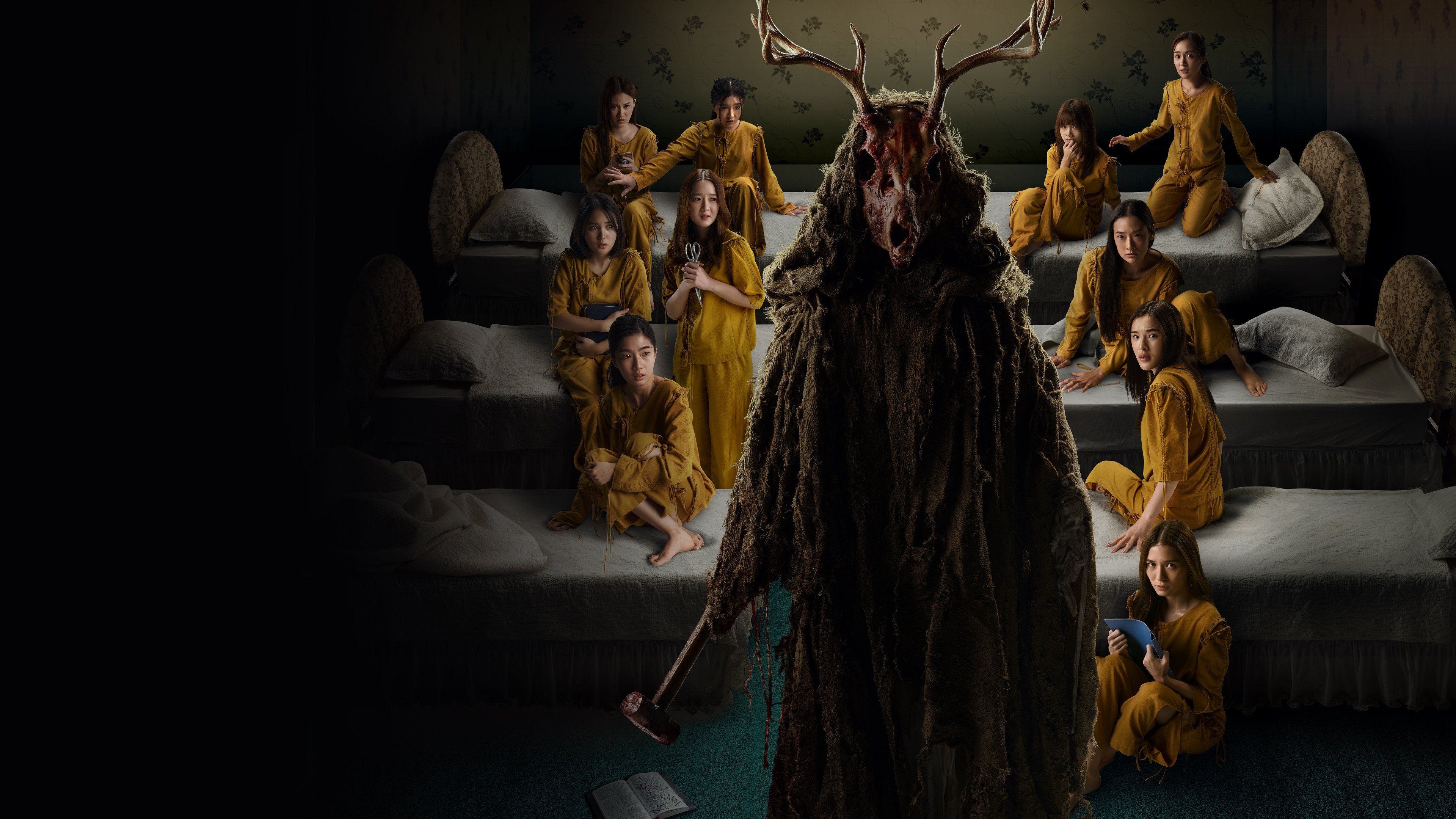 Backdrop for Faces of Anne