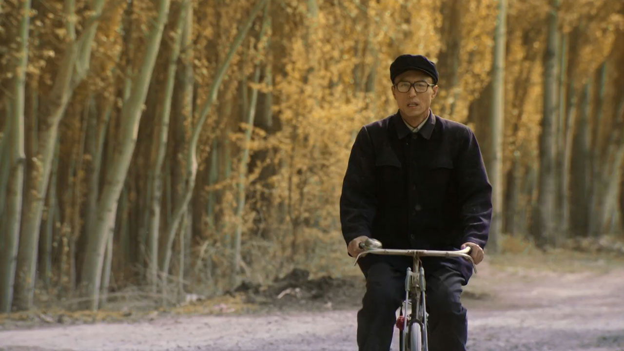 Backdrop for Bayandai