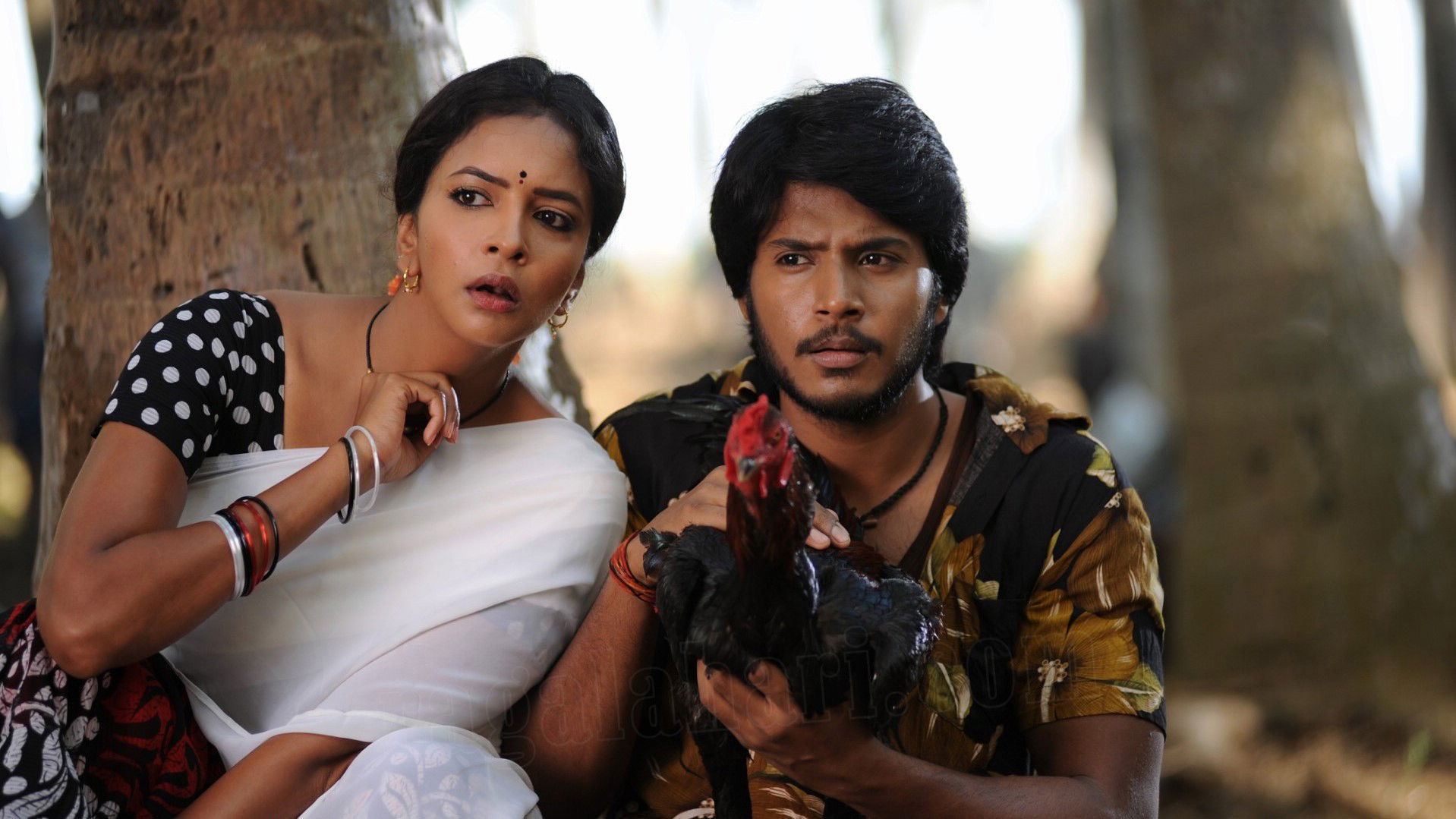 Backdrop for Gundello Godari