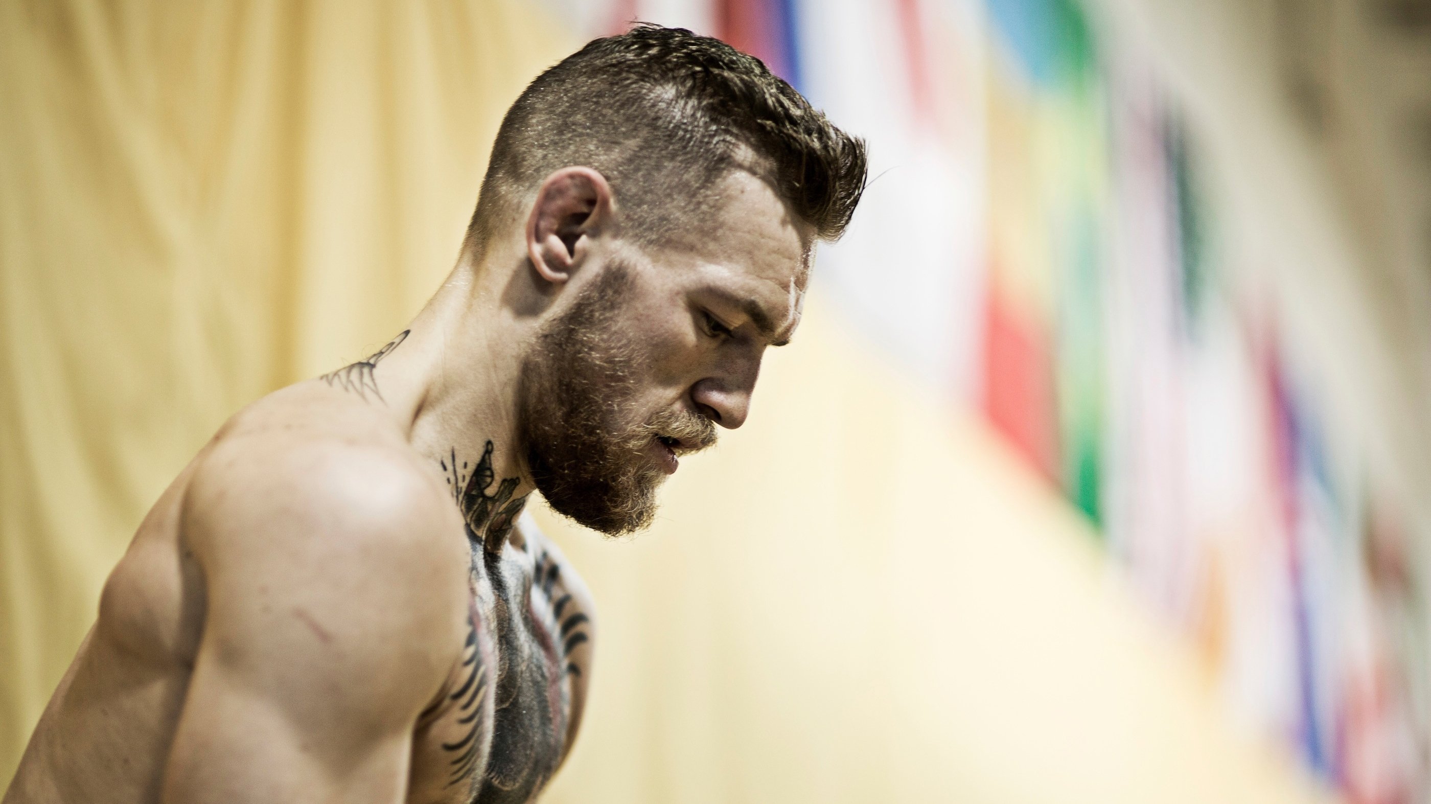 Backdrop for The Notorious