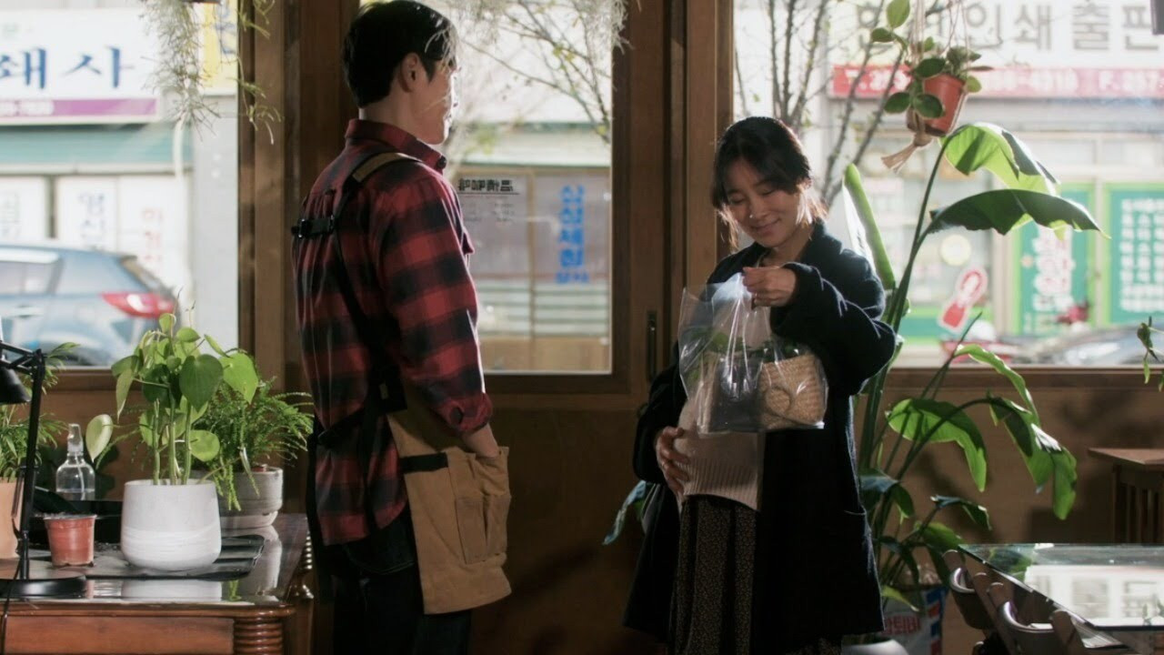 Backdrop for Plant Cafe, Warmth