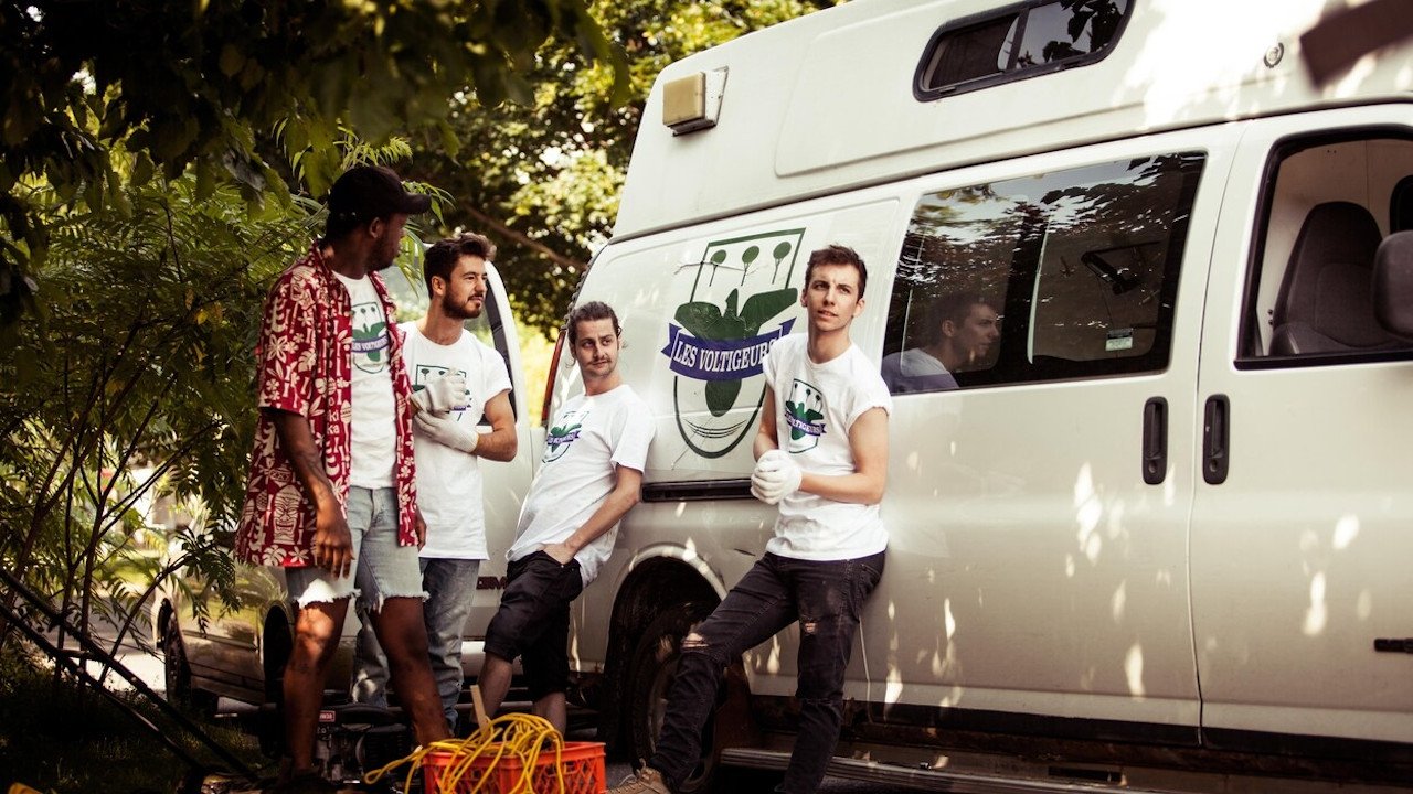 Backdrop for Flashwood